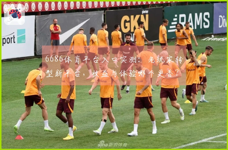 6686体育平台入口实测：老玩家转型新平台，收益与体验哪个更香？