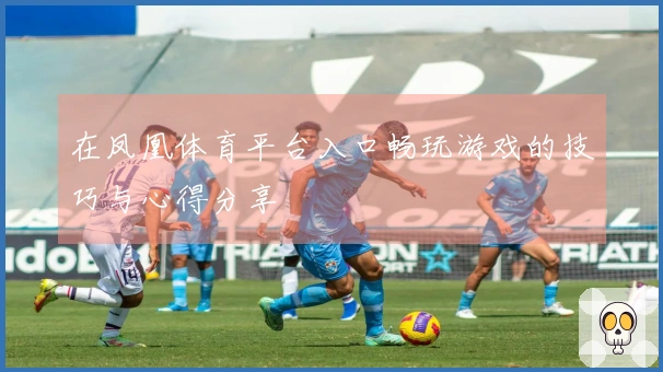 在凤凰体育平台入口畅玩游戏的技巧与心得分享