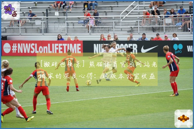 [搬砖也快乐] 熊猫体育官方网站老玩家的深度心得：这版本打宝收益真的高！