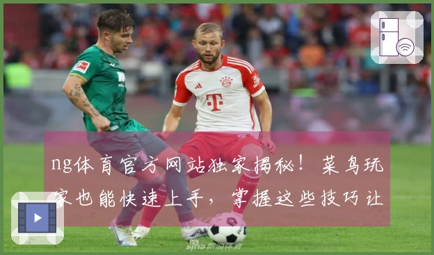 ng体育官方网站独家揭秘！菜鸟玩家也能快速上手，掌握这些技巧让你赢在起跑线