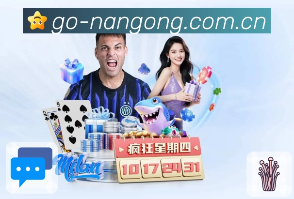 精选项目赛前资料